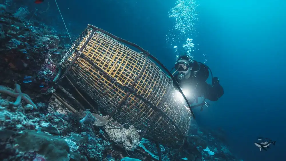 Our diver checking bubu