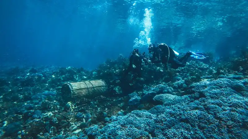 Divers checking bubu