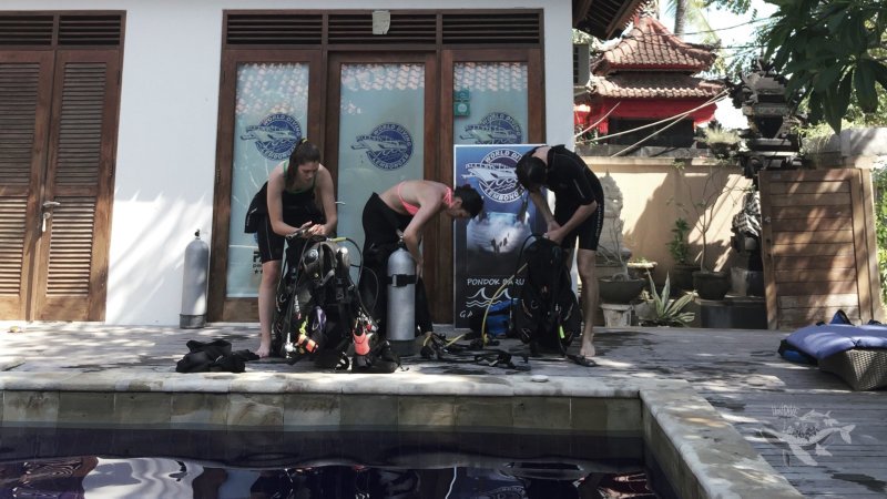 holidive – dive course open water c