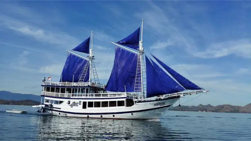 holidive – boats blue dragon a