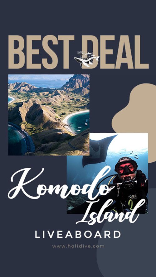 holidive – promo best deal liveaboard komodo island a