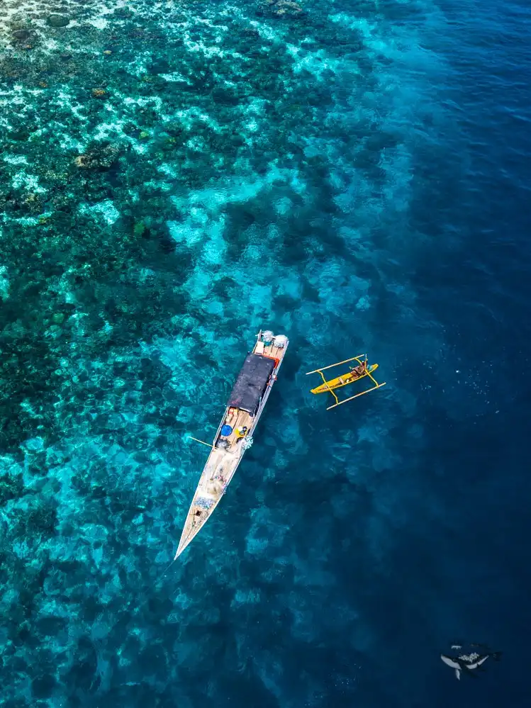 Fisherman in Alor