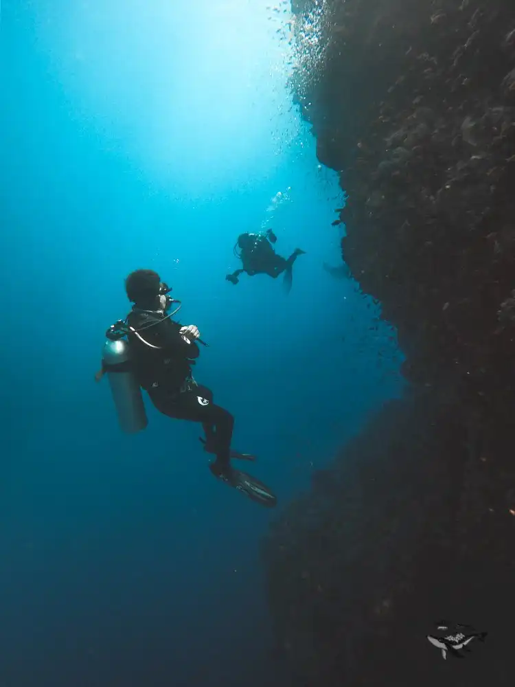 Wall dive in alor