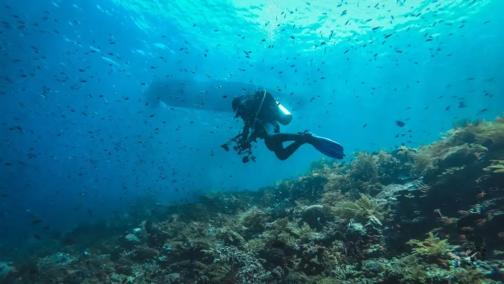 Clear water in Alor